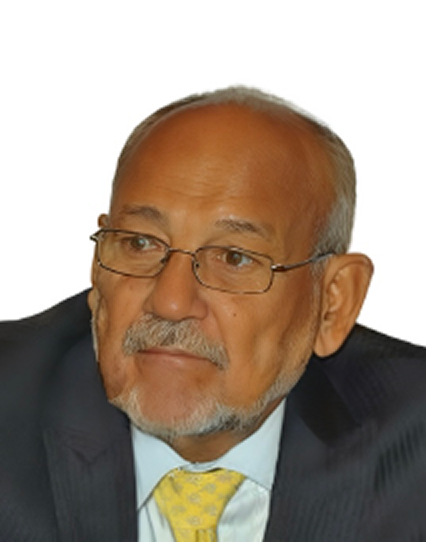 Sir James Fitz-Allen Mitchell